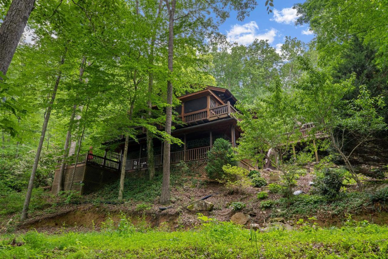 Nana'S Nest Villa Blue Ridge Exterior foto